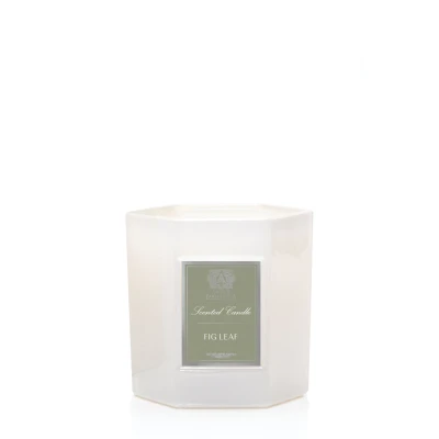 Fig Leaf Candle