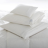 Bedding Protectors