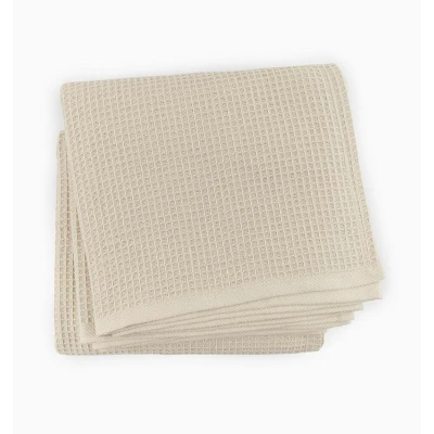 Kingston Mushroom Queen