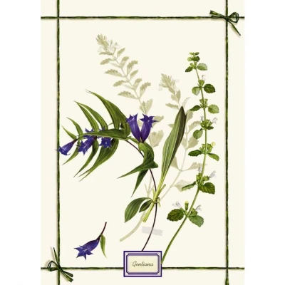 Fragrance Genzia Kitchen Towel