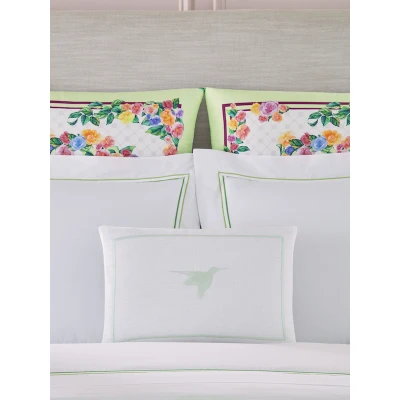 Colibri