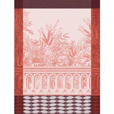 Riviera Mimosa