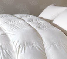Prestige Ravenna Comforter