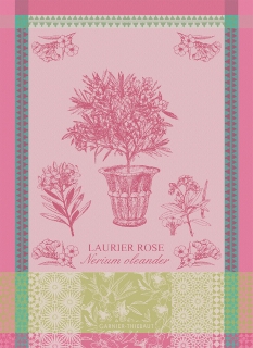 Laurier en Pot Rose